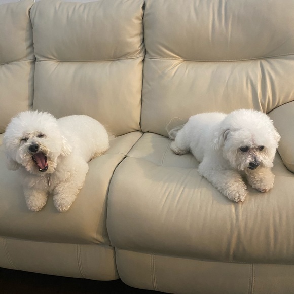 Meet your Posher, Lisa - Picture 1 of 1